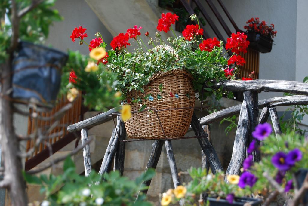 Seoski Turizam Melovic Rozanstvo Exterior photo